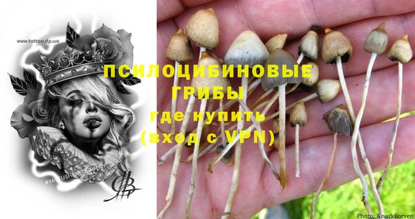 марки lsd Богданович