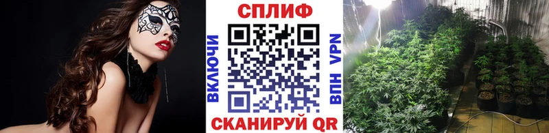 Бошки марихуана конопля Коммунар