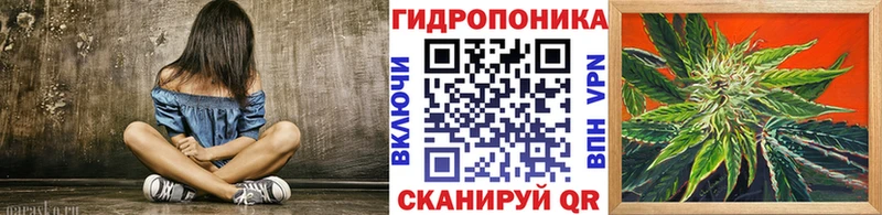 Бошки Шишки планчик  Купить  Коммунар 